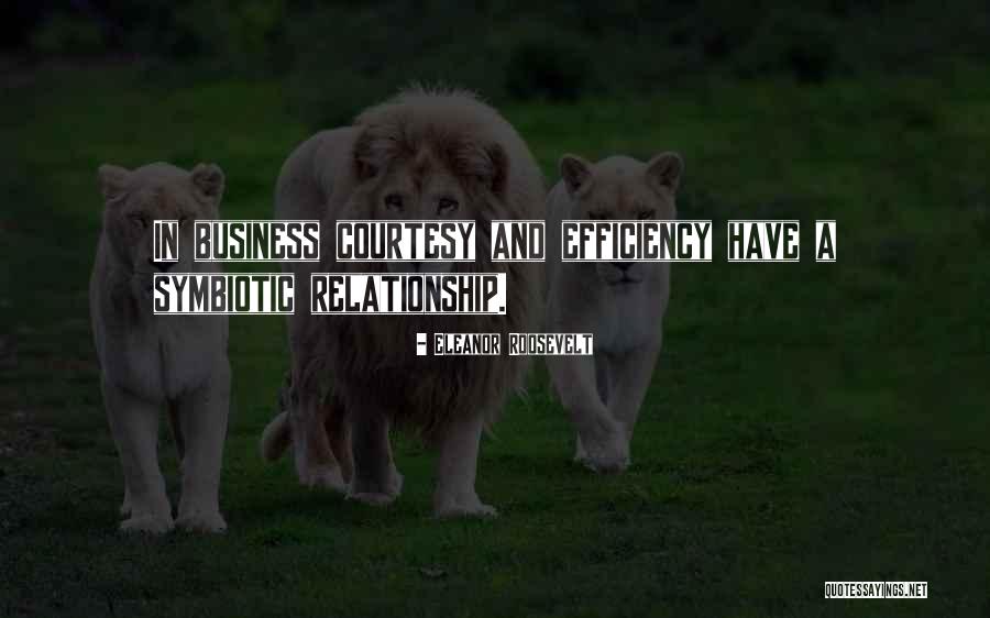 Schockenhoff Quotes By Eleanor Roosevelt Schockenhoff Quotes By Eleanor Roosevelt