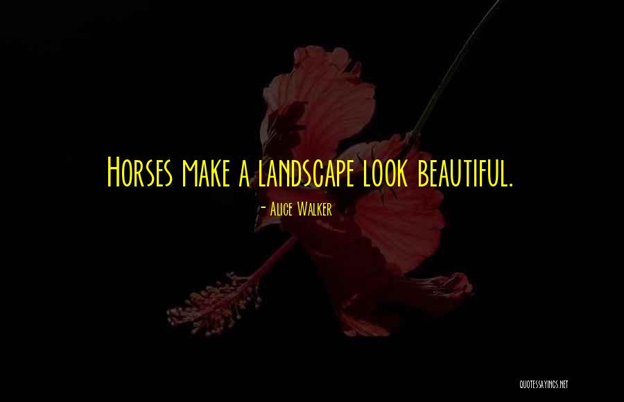 Schockman Quotes By Alice Walker Schockman Quotes By Alice Walker
