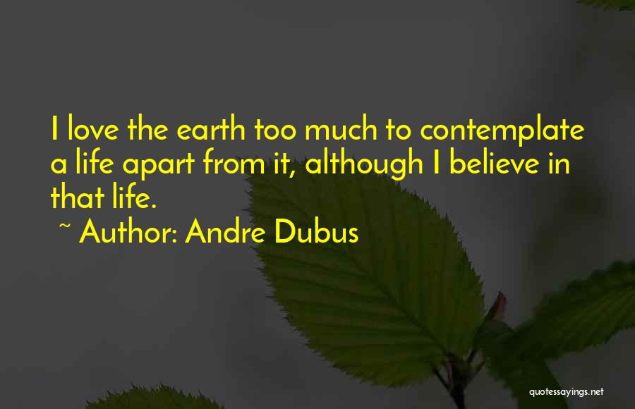 Schoeffling Woodworking Quotes By Andre Dubus