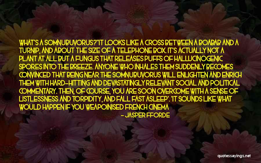 Schoeman Oosthuizen Quotes By Jasper Fforde Schoeman Oosthuizen Quotes By Jasper Fforde