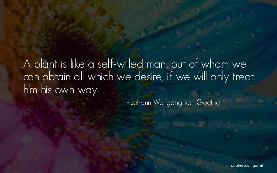 Schoemansdal Quotes By Johann Wolfgang Von Goethe Schoemansdal Quotes By Johann Wolfgang Von Goethe