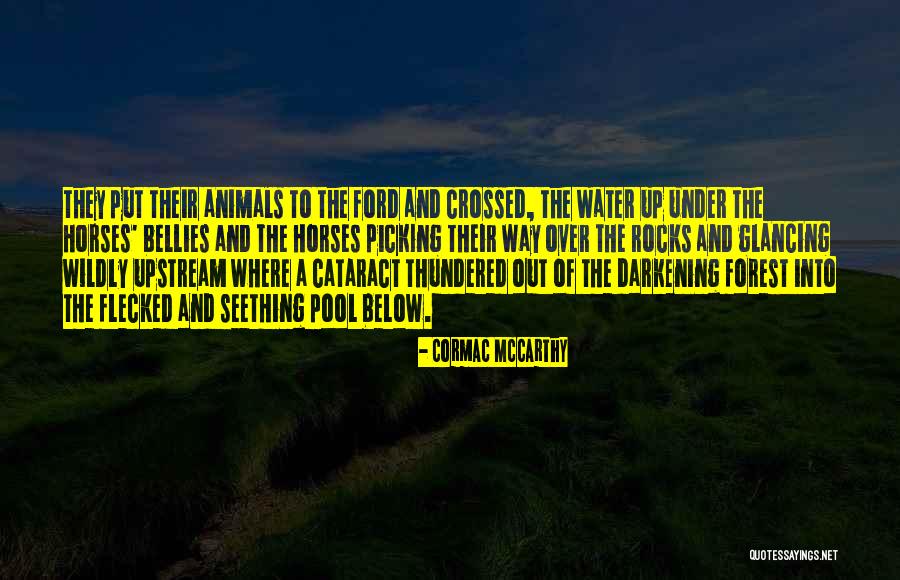 Schoenberger Dentist Quotes By Cormac McCarthy Schoenberger Dentist Quotes By Cormac McCarthy