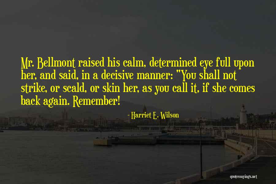 Schoenecker Park Quotes By Harriet E. Wilson Schoenecker Park Quotes By Harriet E. Wilson