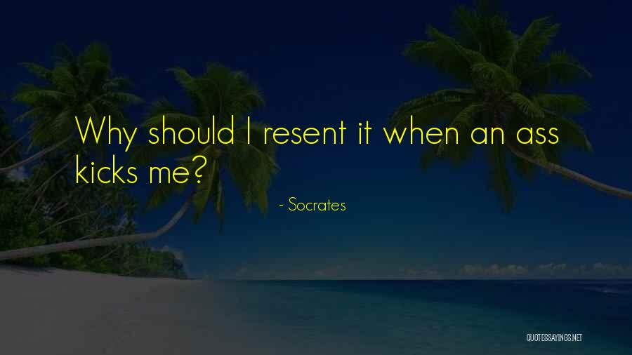 Schoenfelder Cello Quotes By Socrates Schoenfelder Cello Quotes By Socrates