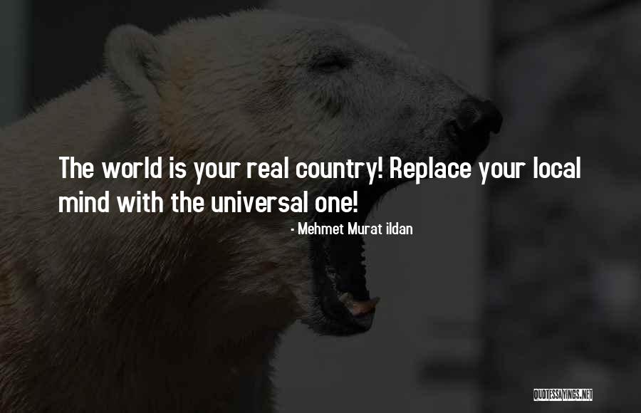 Schollander Wes Quotes By Mehmet Murat Ildan Schollander Wes Quotes By Mehmet Murat Ildan