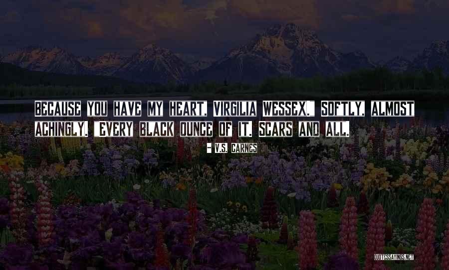 Schollmeyers Quotes By V.S. Carnes Schollmeyers Quotes By V.S. Carnes