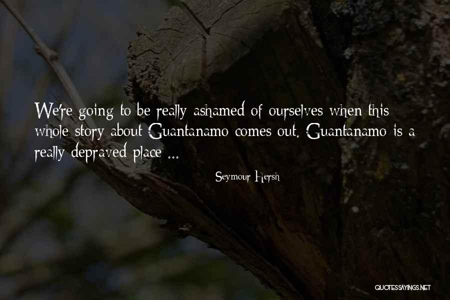 Scholtens Lynden Quotes By Seymour Hersh Scholtens Lynden Quotes By Seymour Hersh