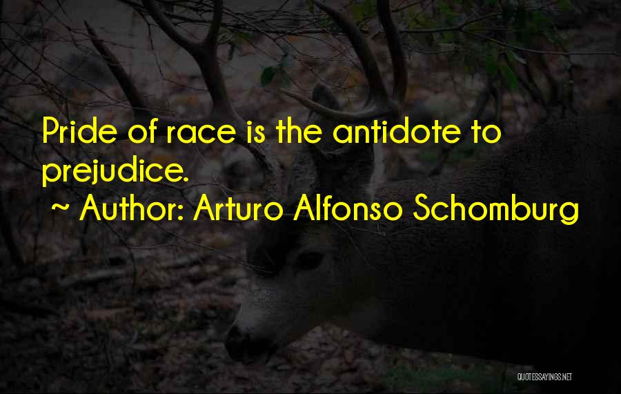 Schomburg Quotes By Arturo Alfonso Schomburg