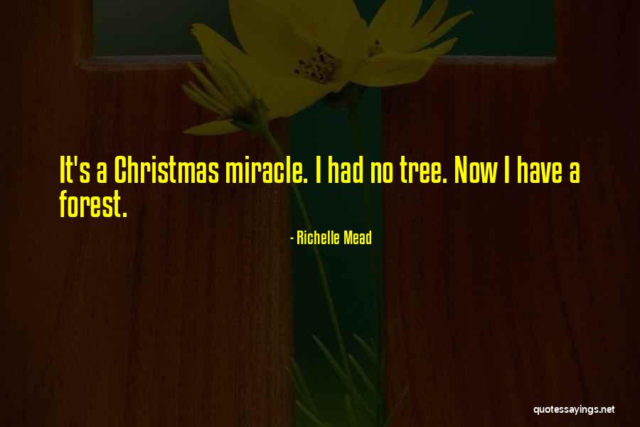 Schonstedt Maggie Quotes By Richelle Mead Schonstedt Maggie Quotes By Richelle Mead