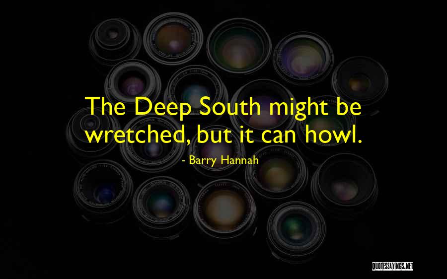 Schonwalder Quotes By Barry Hannah Schonwalder Quotes By Barry Hannah