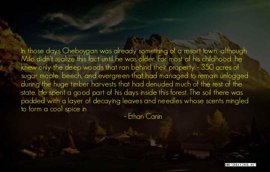School Days Quotes By Ethan Canin School Days Quotes By Ethan Canin