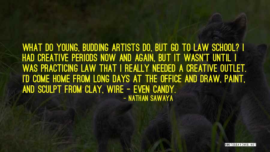 School Days Quotes By Nathan Sawaya