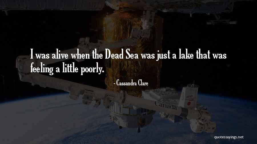 School During Quarantine Quotes By Cassandra Clare School During Quarantine Quotes By Cassandra Clare