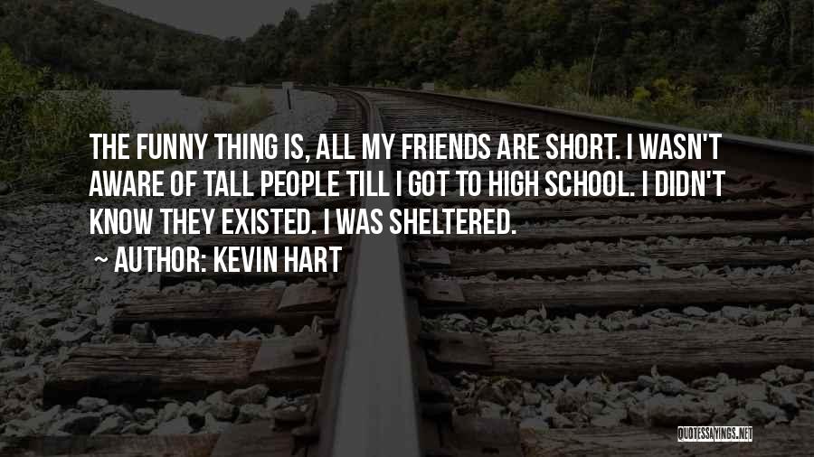 School Friends Short Quotes By Kevin Hart