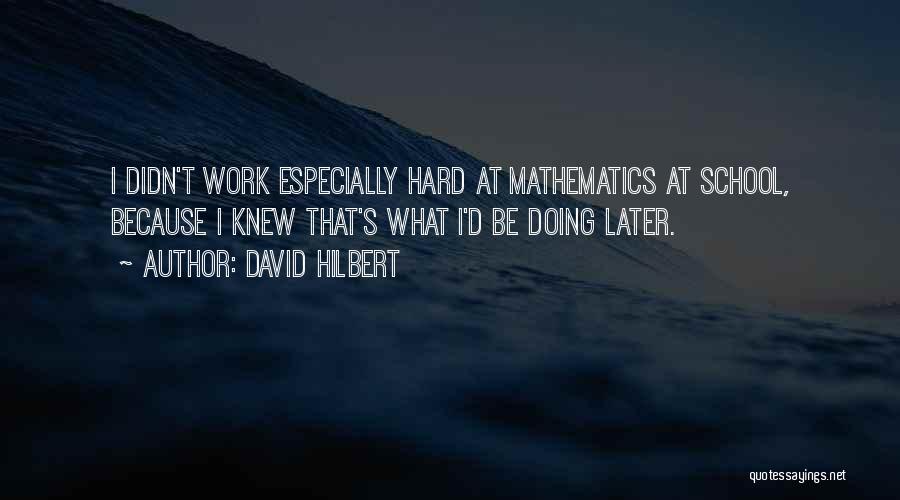 School Hard Work Quotes By David Hilbert