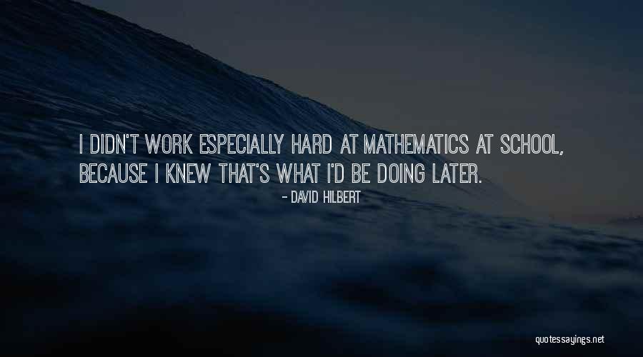 School Hard Work Quotes By David Hilbert