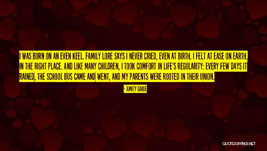School Life Quotes By Amity Gaige School Life Quotes By Amity Gaige