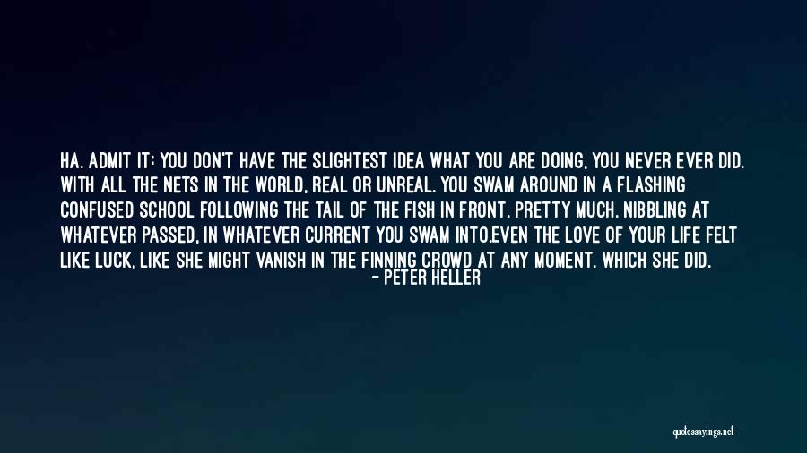 School Of Fish Quotes By Peter Heller School Of Fish Quotes By Peter Heller