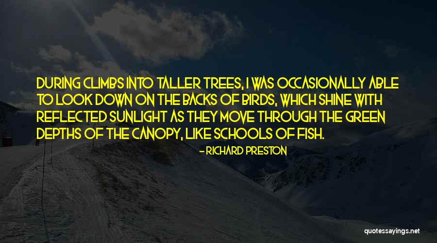 School Of Fish Quotes By Richard Preston School Of Fish Quotes By Richard Preston