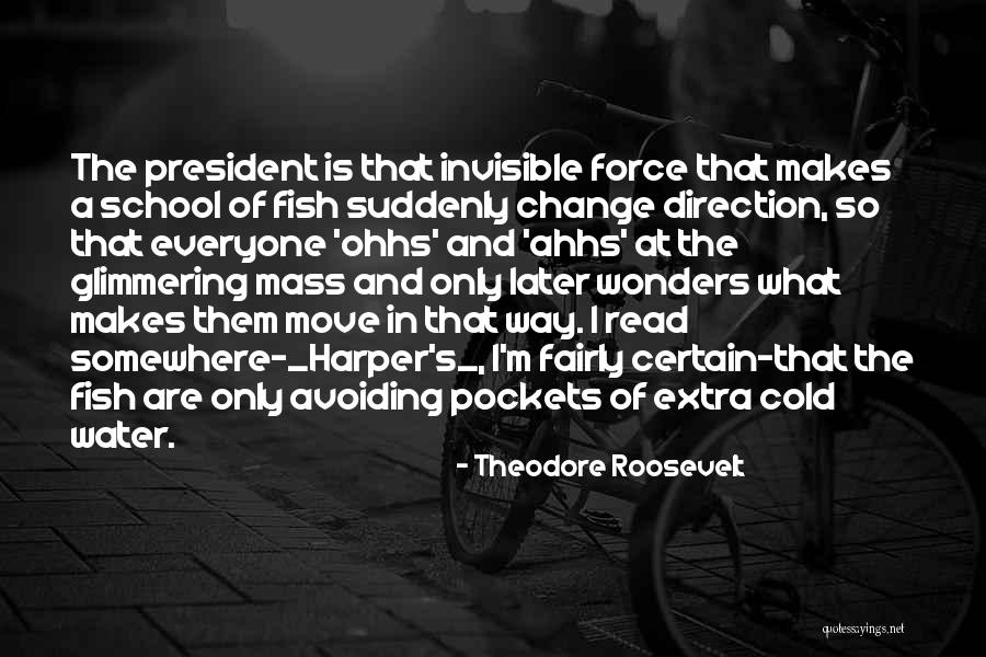School Of Fish Quotes By Theodore Roosevelt School Of Fish Quotes By Theodore Roosevelt