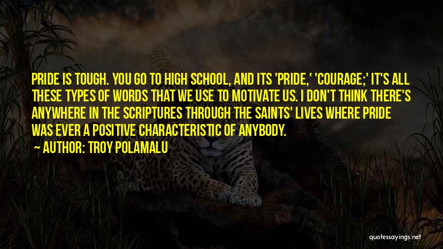 School Pride Quotes By Troy Polamalu