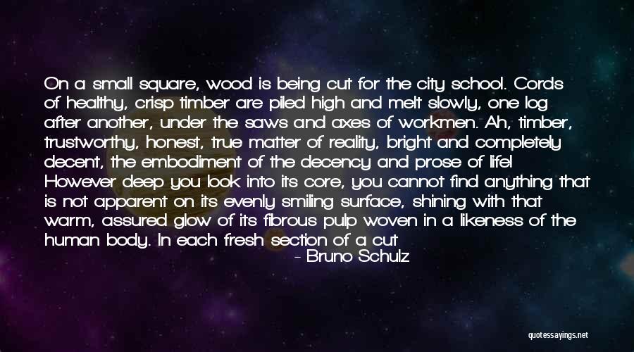 School Section Quotes By Bruno Schulz School Section Quotes By Bruno Schulz