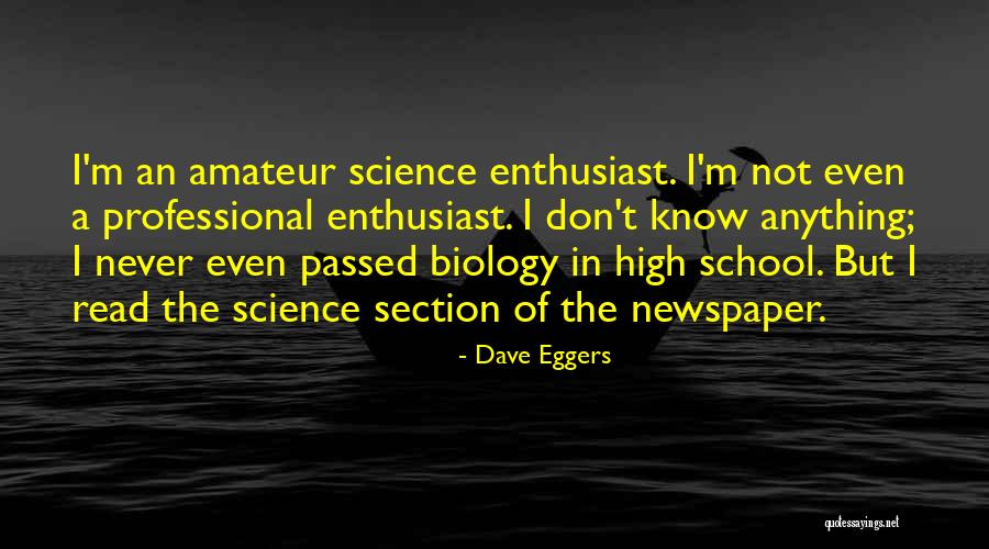 School Section Quotes By Dave Eggers