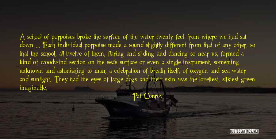 School Section Quotes By Pat Conroy School Section Quotes By Pat Conroy