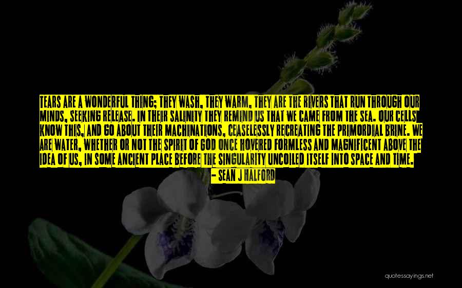 Schoold Quotes By Sean J Halford Schoold Quotes By Sean J Halford