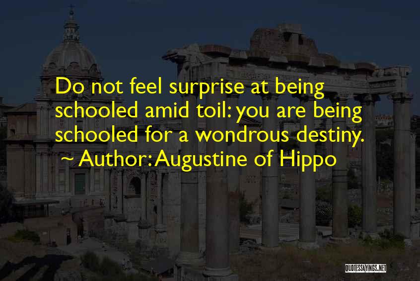 Schooled Quotes By Augustine Of Hippo