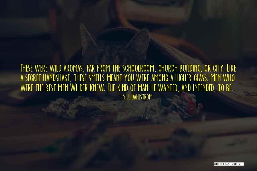 Schoolroom Quotes By S.J. Dahlstrom Schoolroom Quotes By S.J. Dahlstrom