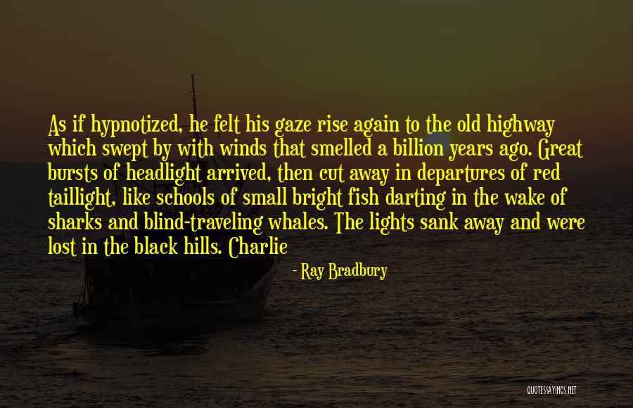 Schools Of Fish Quotes By Ray Bradbury