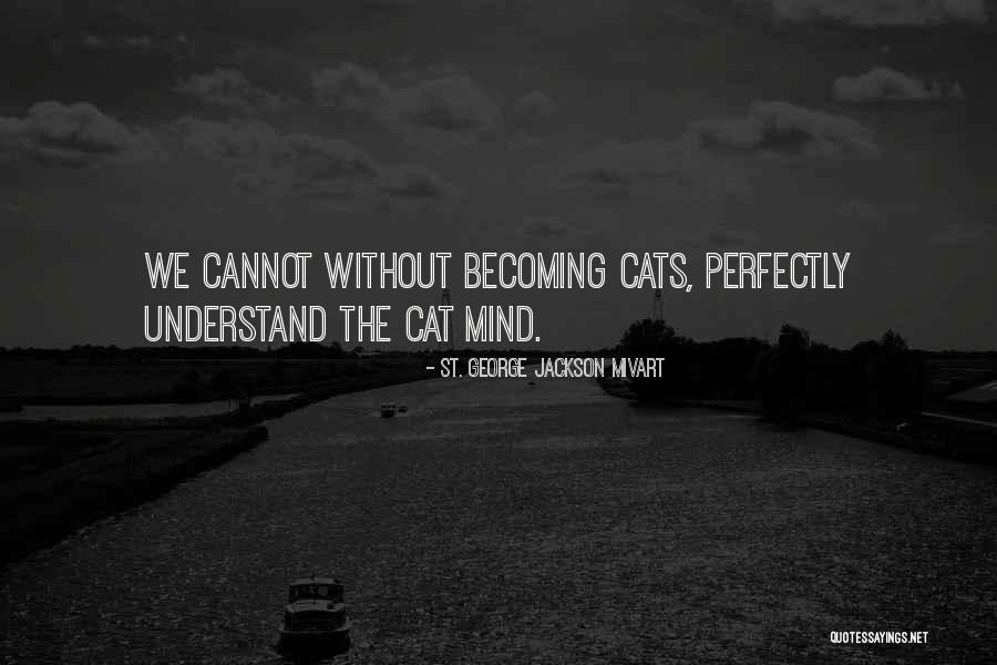 Schoonbroodt Quotes By St. George Jackson Mivart Schoonbroodt Quotes By St. George Jackson Mivart