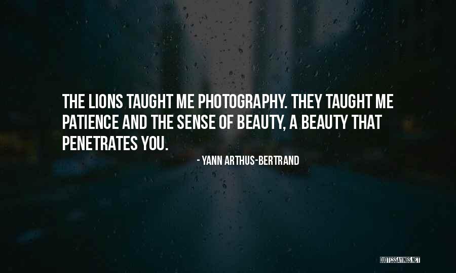 Schoorsteenveger Quotes By Yann Arthus-Bertrand Schoorsteenveger Quotes By Yann Arthus-Bertrand
