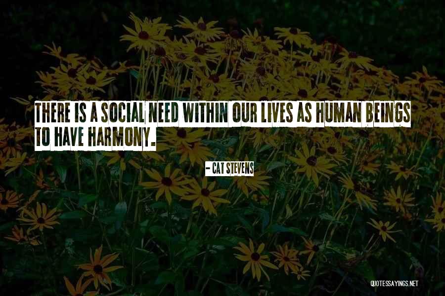 Schorling Automotive Quotes By Cat Stevens Schorling Automotive Quotes By Cat Stevens