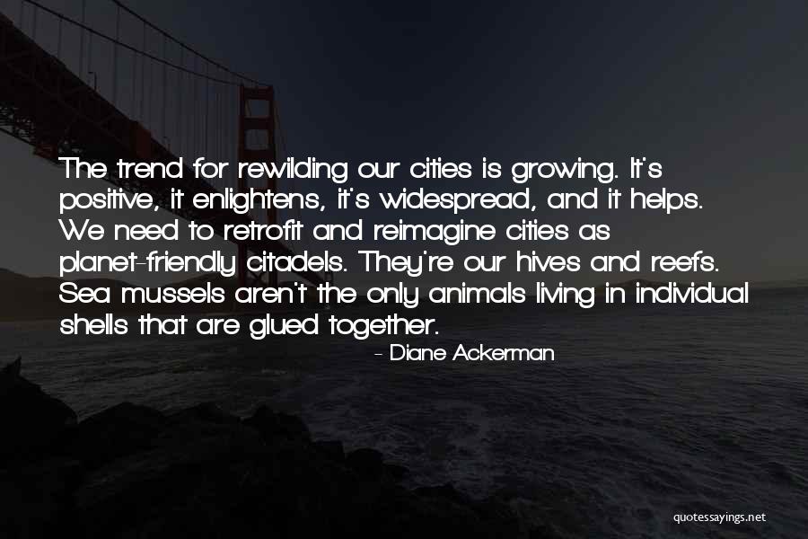 Schoss Construction Quotes By Diane Ackerman Schoss Construction Quotes By Diane Ackerman