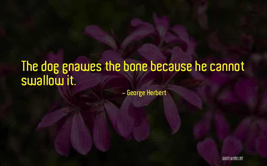 Schottland Y Quotes By George Herbert Schottland Y Quotes By George Herbert