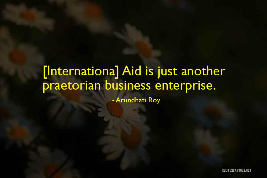 Schrab Grant Quotes By Arundhati Roy