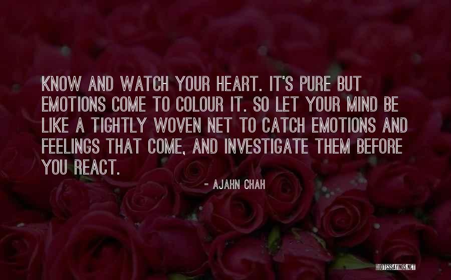 Schrammeln Musik Quotes By Ajahn Chah Schrammeln Musik Quotes By Ajahn Chah