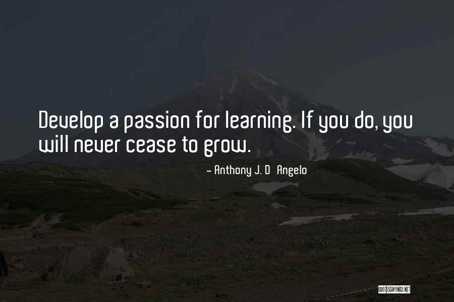 Schrauwen Andre Quotes By Anthony J. D'Angelo Schrauwen Andre Quotes By Anthony J. D'Angelo