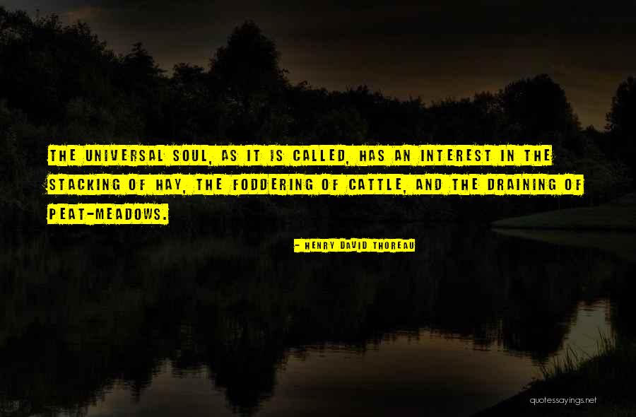 Schrauwen Temse Quotes By Henry David Thoreau Schrauwen Temse Quotes By Henry David Thoreau