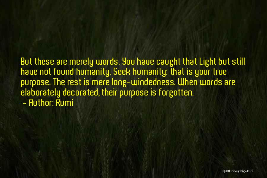 Schrauwen Temse Quotes By Rumi
