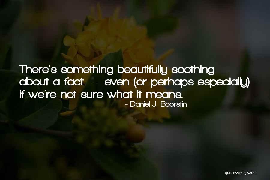 Schrecklich Quotes By Daniel J. Boorstin Schrecklich Quotes By Daniel J. Boorstin