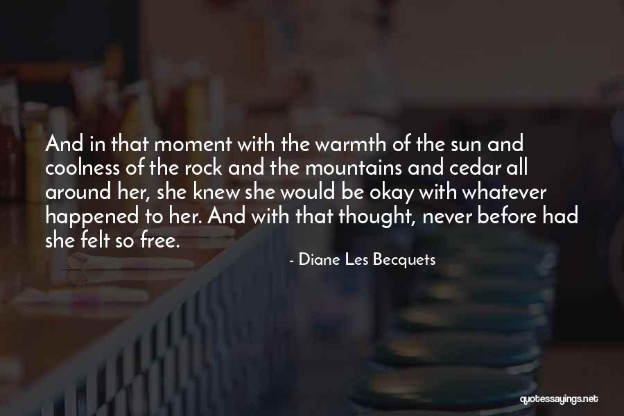 Schreuder Attorneys Quotes By Diane Les Becquets Schreuder Attorneys Quotes By Diane Les Becquets