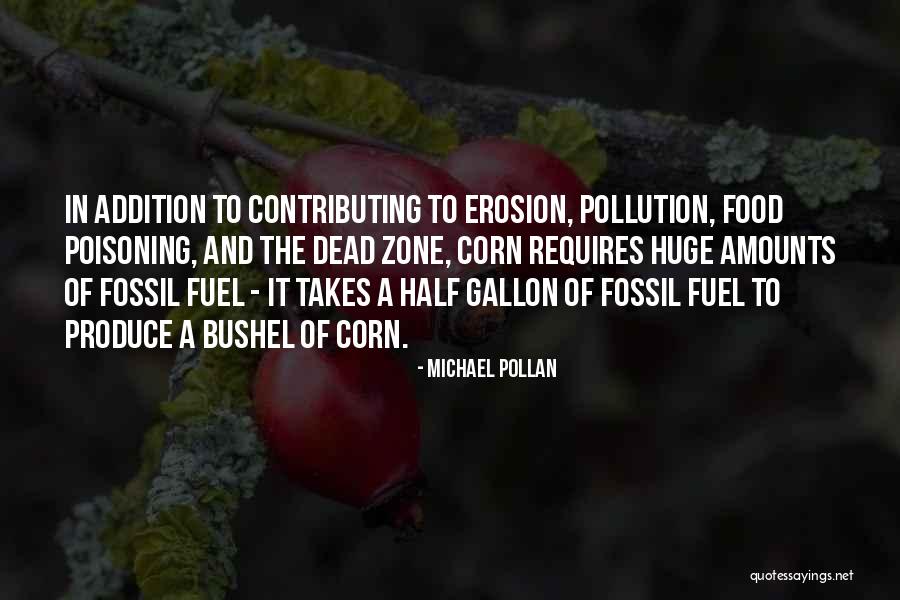 Schrifstellerin Quotes By Michael Pollan Schrifstellerin Quotes By Michael Pollan
