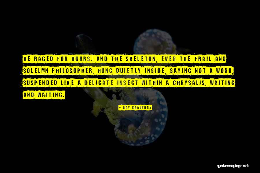 Schriftsteller Werden Quotes By Ray Bradbury Schriftsteller Werden Quotes By Ray Bradbury