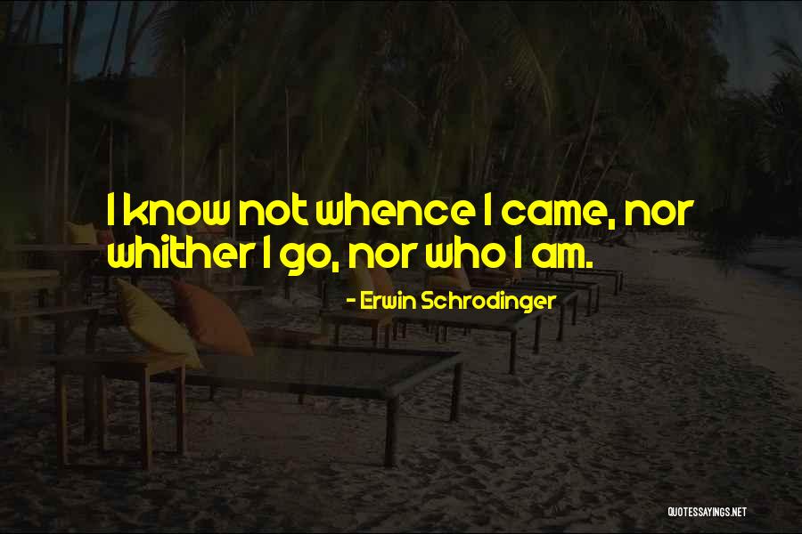 Schrodinger's Quotes By Erwin Schrodinger
