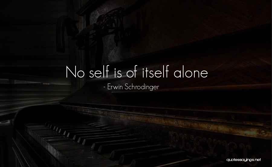 Schrodinger's Quotes By Erwin Schrodinger Schrodinger's Quotes By Erwin Schrodinger