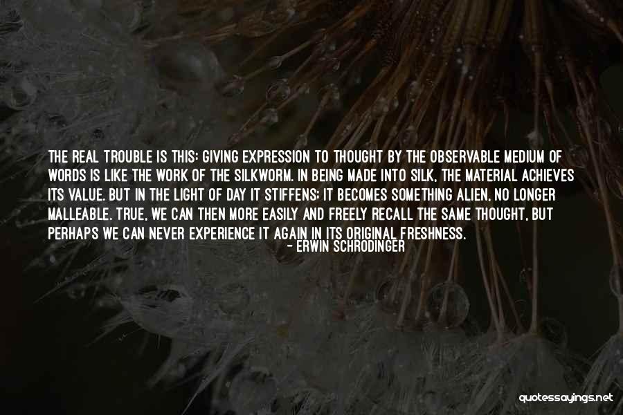 Schrodinger's Quotes By Erwin Schrodinger Schrodinger's Quotes By Erwin Schrodinger