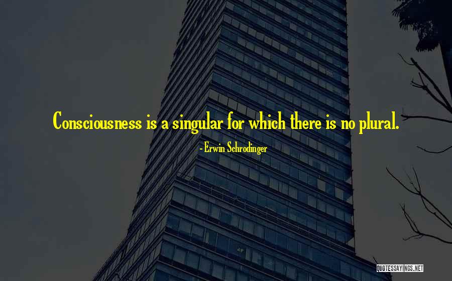 Schrodinger's Quotes By Erwin Schrodinger Schrodinger's Quotes By Erwin Schrodinger